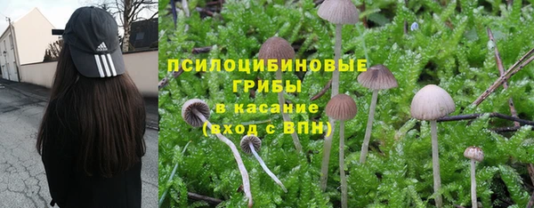крисы Медногорск