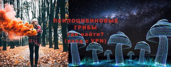 гидра Медвежьегорск