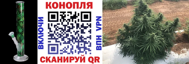 Бошки марихуана индика  где продают наркотики  Яблоновский 